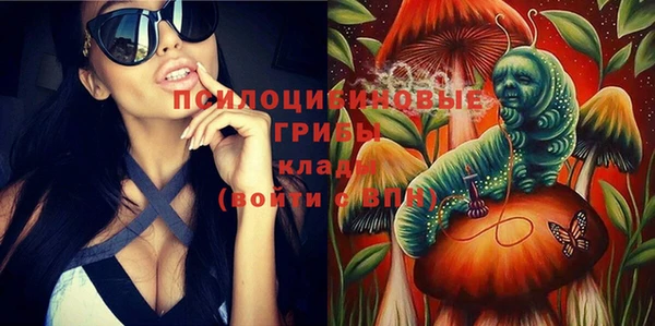молекула духа Куйбышев